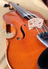 frenchviolincollinmezinfholedetailpfv27